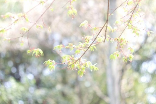 宜昌百里荒旅游（宜昌百里荒一日游攻略）