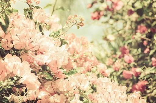 探究22324濠江论坛原创独家，全面释义、深度解释与实践落实，独家揭秘，深度解读与实践落实22324濠江论坛原创内容