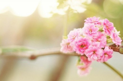 警惕虚假宣传，关于2025天天彩正版资料大全的全面释义、解释与落实，警惕虚假宣传，解读与落实2025天天彩正版资料大全的全面释义与解释