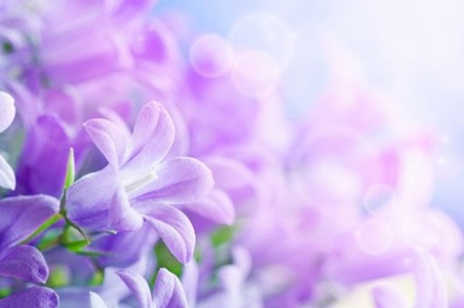 深入理解与落实，关于22324濠江论坛的CORM详细解答，深入理解与落实，关于濠江论坛的CORM解答详解