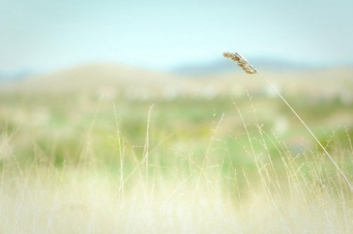 新澳精准正版免费资料的全面释义、解释与落实，新澳正版免费资料全面释义、解释与落实指南
