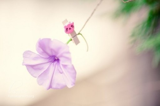 管家婆一奖一特一中详解，解答、解释与落实指南，管家婆奖项详解，一奖一特一中及其解答、解释与落实指南