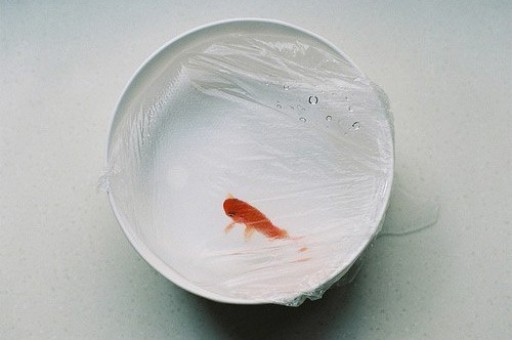 探索与分享，2025正版资料免费大全的精准释义、深度解释与实践落实，探索与分享，2025正版资料深度解读与实践落实指南